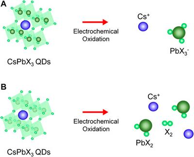 In Situ Spectroelectrochemical Investigation of Perovskite Quantum Dots for Tracking Their Transformation